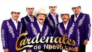 LOS CARDENALES DE NUEVO LEON MIX LOS MEJORES EXITOS PARA BAILAR VOL 1 [upl. by Jonati64]