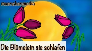 🌛 Die Blümelein sie schlafen  Kinderlieder deutsch  entspannende Schlafmusik  Baby Schlaflieder [upl. by Eelloh]