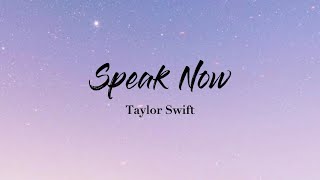 Speak Now  Taylor Swift Lyrics Video [upl. by Ettenuahs256]