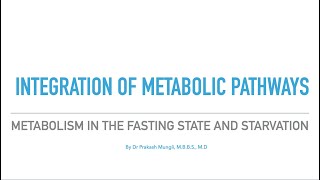 Integration of Metabolic Pathways in the Fasting State and during Starvation [upl. by Lynnea812]