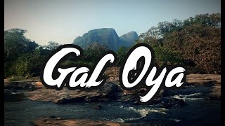 Gal Oya Nilgala Bungalow ගල් ඔය නිල්ගල බංගලාව [upl. by Avram668]