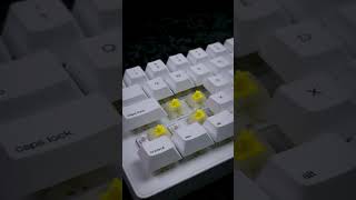 WhiteFox Eclipse Keyboard Sound Test with Gateron Yellow KS9 Pro [upl. by Jonna]