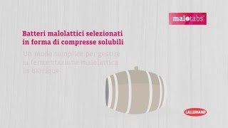 MALOTABS™  soluzione per la fermentazione malolattica in barrique [upl. by Eiramesor]