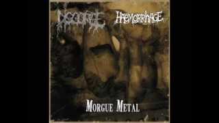 Disgorgemex amp Haemorrhage  Morgue Metal FULL ALBUM [upl. by Tedder627]