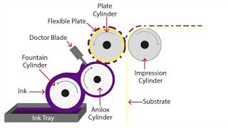 Flexographic Printing Explained [upl. by Still314]