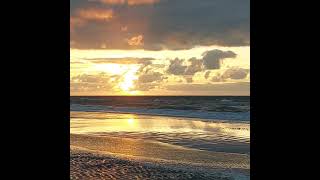 Ostend beach 1692024 oostende strand incl Great Dane [upl. by Atinna]