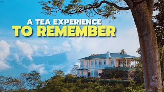 This Darjeeling Tea Estate Got Featured In 101 Best Hotels Of The World [upl. by Mab]