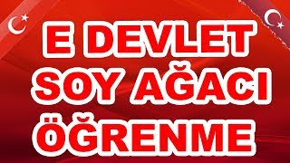 EDevlet Soy Ağacı Sorgulama Nasıl Bakılır  Atalarınızı Öğrenin [upl. by Barcus]