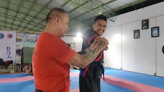 Hapkido master training selfdefense kicks fight punch moving techniques 02 [upl. by Cirtemed]