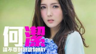 JOY RICH 新歌 何潔  請不要對我說Sorry [upl. by Nek]