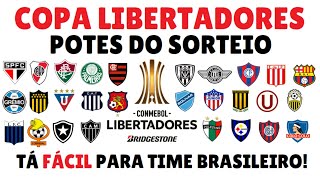 COPA LIBERTADORES 2024  VEJA OS 32 CLUBES CLASSIFICADOS E SEUS POTES [upl. by Sawyer]