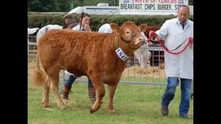 Brecon County Show [upl. by Eimmelc]