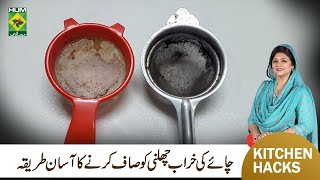 Clean Tea Stainer  Metal Sieve Cleaning  Easy Kitchen Hacks  Samina Jalil  Masala TV [upl. by Aniuqal]