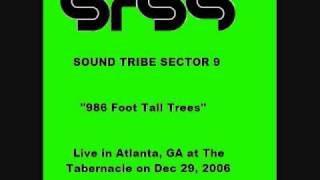 STS9 986 Foot Tall Trees [upl. by Ardnak]