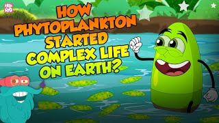 How Phytoplankton Started Complex Life On Earth  Plankton  The Dr Binocs Show  Peekaboo Kidz [upl. by Benjamen]