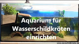 Aquarium für WasserschildkrötenHaltung einrichten [upl. by Weinreb]