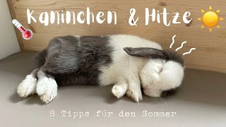 Kaninchen amp Hitze  Tipps für den Sommer  Stupsnasenbande [upl. by Arbmat]