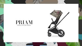 CYBEX Travel system PRIAM Butterfly with Lux Seat [upl. by Burnett]