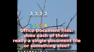 Office Document files does each of them really a single document file or something else [upl. by Anitsirhc132]