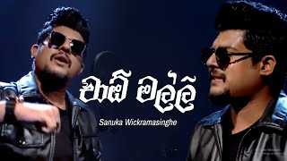 SANUKA  Ciao Malli චාඕ මල්ලි  දවසක් දා හැන්දෑවක [upl. by Latt]