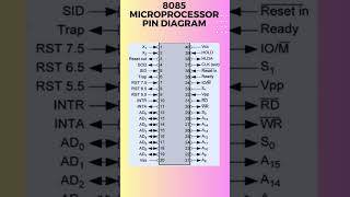 8085 microprocessor pin diagram [upl. by Thorfinn]