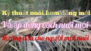 p4 hướng dẫn Nuôi lươn mới Fsing 2 [upl. by Siduhey688]