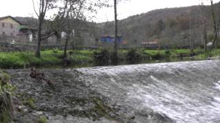 Cangas de OnisTruchas en el rio Tabardin [upl. by Ahsiled]