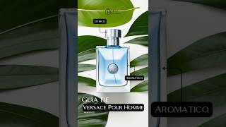 Guía y características del perfume Versace Pour Homme de Versace perfume [upl. by Maren]