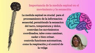 Actividad 4  cerebro y cuerpo una relacion dual [upl. by Nicole169]