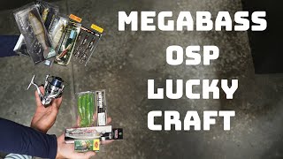 Whats New This Week New Megabass Lures OSP Restock Lucky Craft And More [upl. by Ia]