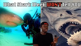 Why The World Without Sharks Might be Your Biggest Nightmare [upl. by Muriah]