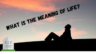 What Is The Meaning Of Life [upl. by Odnomor548]