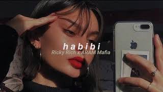 Ricky Rich x ARAM Mafia  Habibi slowed  reverb [upl. by Oibaf]