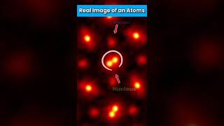 The Real Image of An Atoms shorts ytshorts atoms science chemistry [upl. by Hayifas]