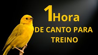 Canário da Terra Cantando Canto Para TREINO [upl. by Siraj]