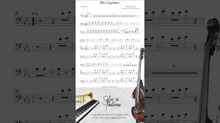 DIEZ LAGRIMAS HERMANOS LEBRON Sheet Music Orchestra [upl. by Bradan]