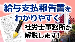 給与支払報告書の基礎知識について [upl. by Lazaruk]