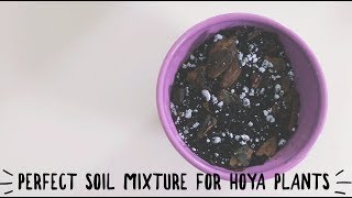 perfect soil mixture for hoya plants  epiphytes [upl. by Lema870]