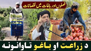 Fasloon Aur Baghoon Mein Nuqsanat  Maulana Noor Uddin Agha [upl. by Ibed]