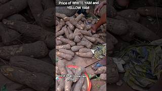 Price of yam youtubecreatorcommunity short foodmarket [upl. by Pulsifer7]