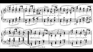 Hamelin plays Alkan  Symphony for solo piano 2nd mvt LIVE Audio  Sheet music [upl. by Jorin316]