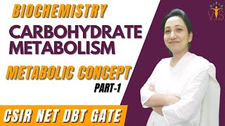 Carbohydrate Metabolism Concept Part1 Biochemistry CSIR NET  Carbohydrate Metabolism Biochemistry [upl. by Hcnarb]