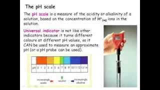 IGCSE Chemistry Acids Bases and Salts [upl. by Nitsu]