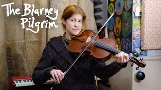 The Blarney Pilgrim  fiddle tune on viola  traditional Irish jig [upl. by Keverne101]