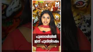 പൂരനഗരിയില്‍ ഇന്ന് പുലിയിറക്കം trending shortsfeed viralvideo [upl. by Aroved]