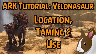 How to Tame amp Use a Velonasaur in ARK Survival Evolved  PC  PS  Xbox ark extinction [upl. by Lauralee]