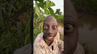 Please subscribe 🙏 tenge tenge comedy 🤣 video [upl. by Radmen]