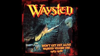 Waysted Wont Get Out Alive Box Set Review [upl. by Arinaj]