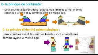 1AC Les fossiles fossilisation et léchelle stratigraphique​ [upl. by Elleniad432]