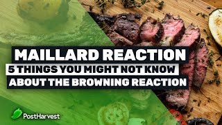 Maillard Reaction  5 Things You Might Not Know About The Browning Reaction [upl. by Inihor]